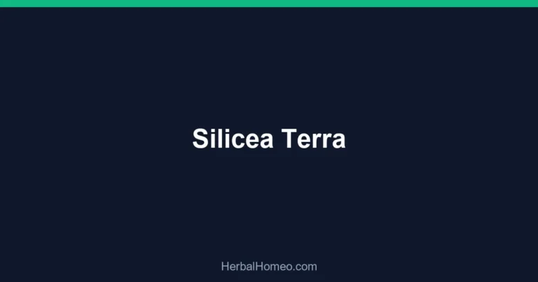 Silicea Terra