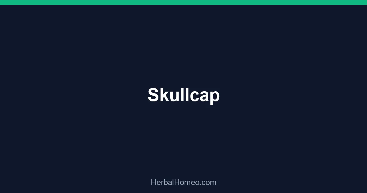 Skullcap