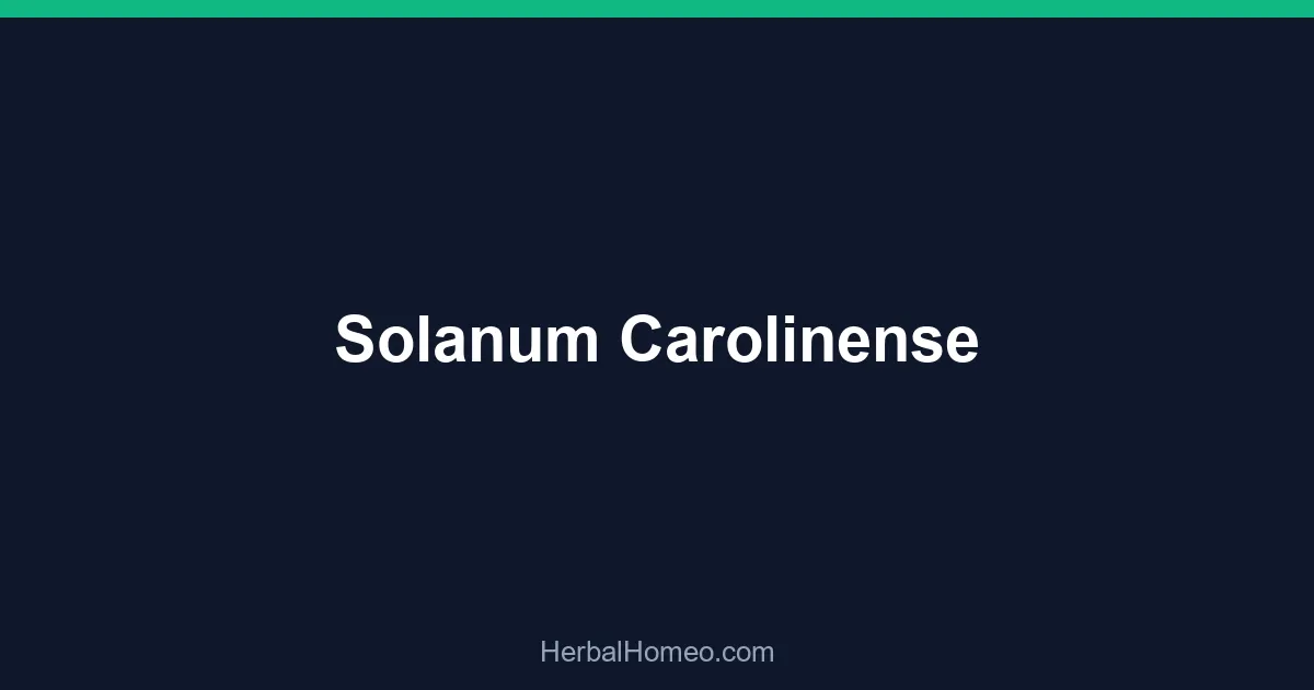 Solanum Carolinense