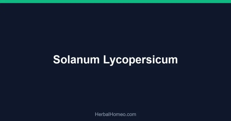 Solanum Lycopersicum