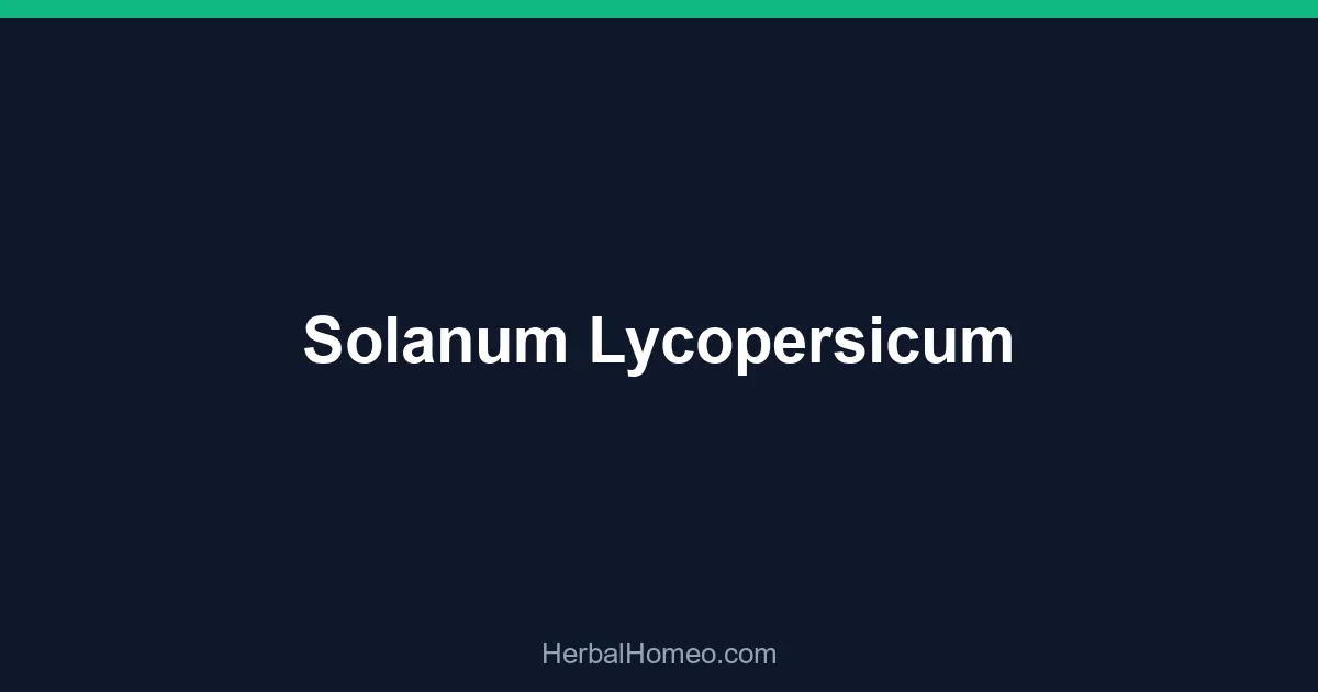 Solanum Lycopersicum