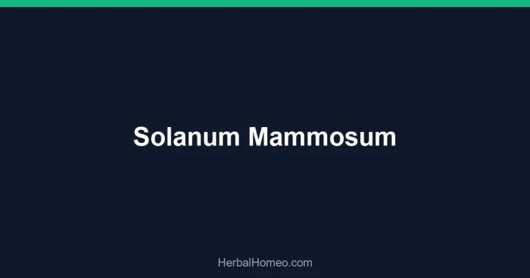 Solanum Mammosum