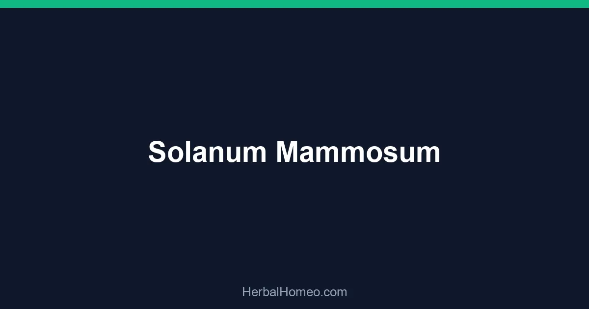 Solanum Mammosum