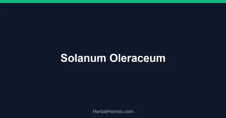 Solanum Oleraceum