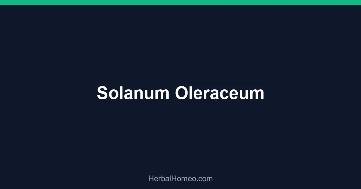 Solanum Oleraceum