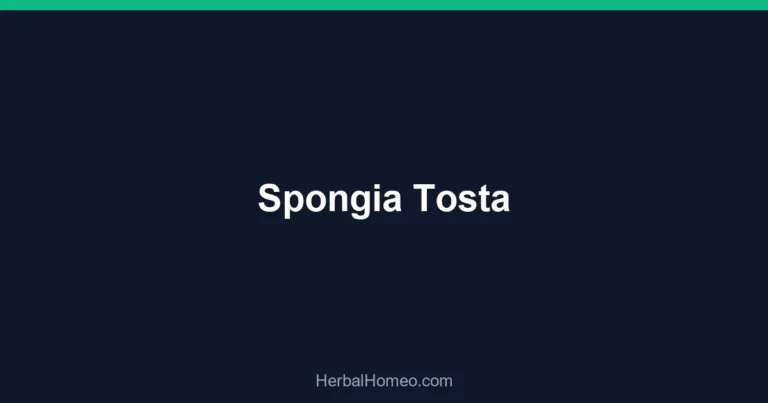 Spongia Tosta