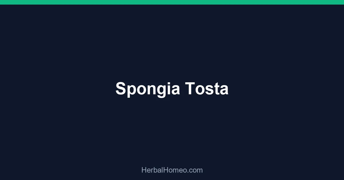Spongia Tosta