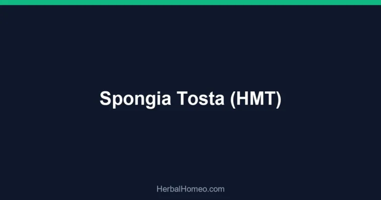 Spongia Tosta (HMT)