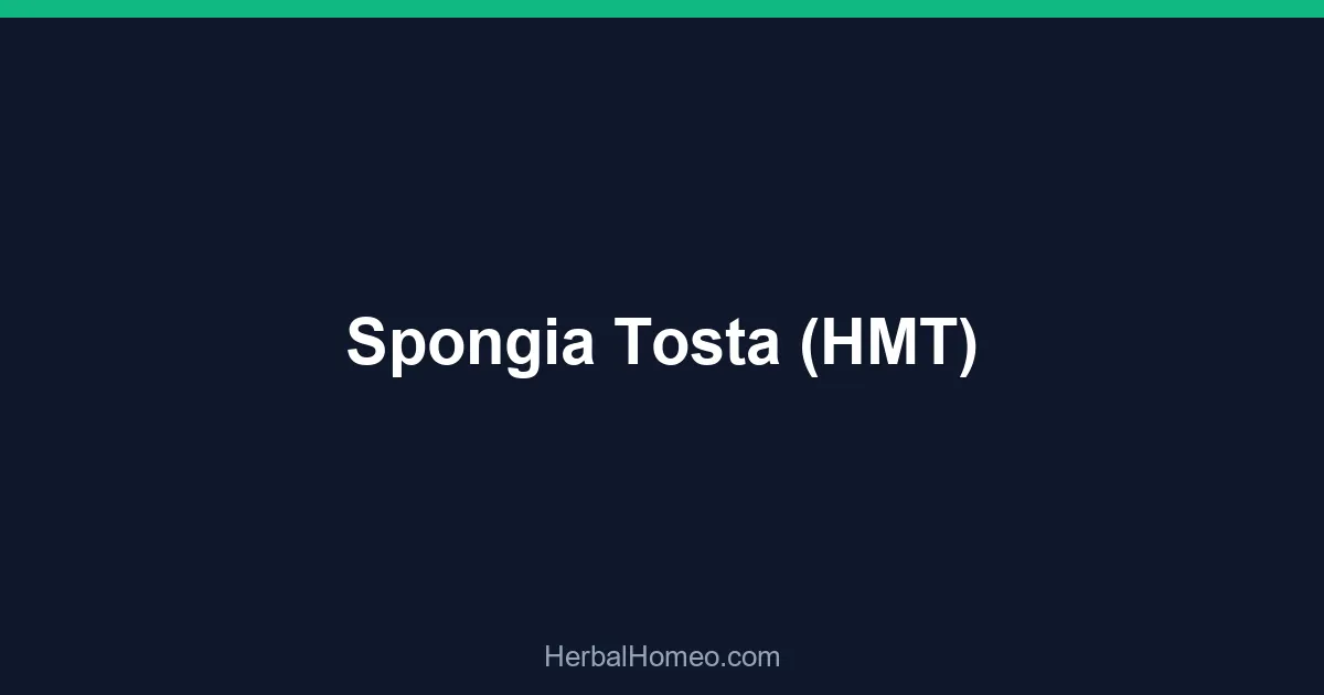Spongia Tosta (HMT)