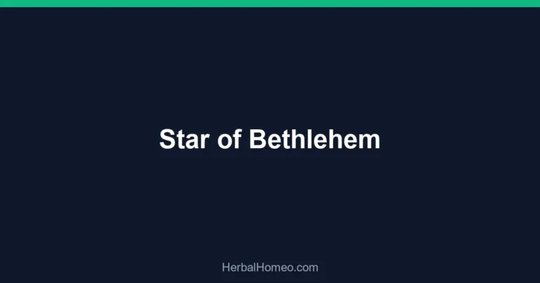 Star of Bethlehem