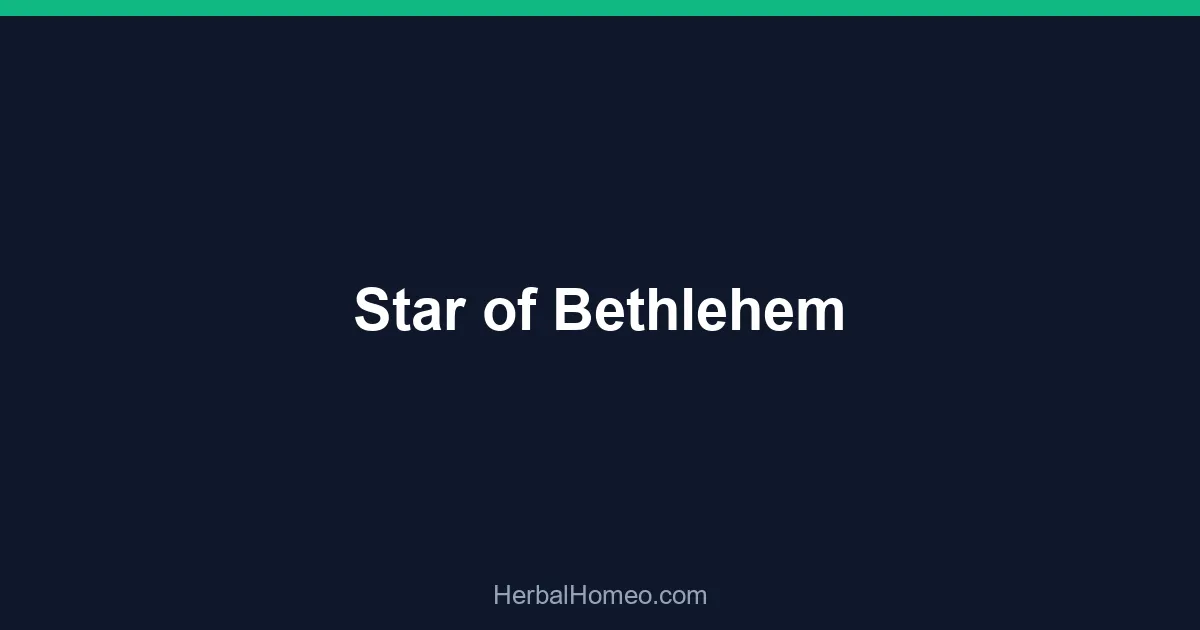 Star of Bethlehem
