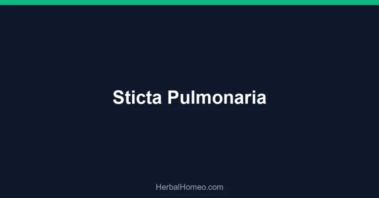 Sticta Pulmonaria
