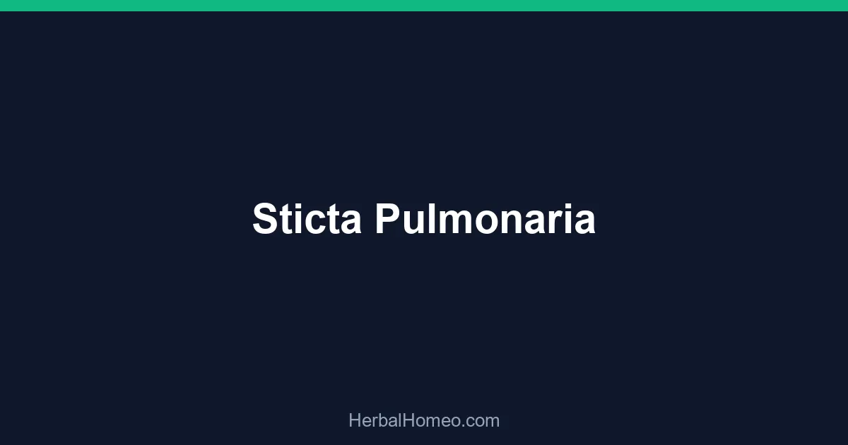 Sticta Pulmonaria