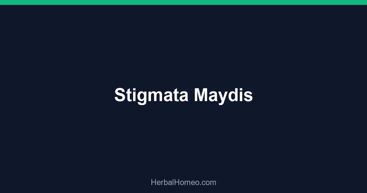 Stigmata Maydis