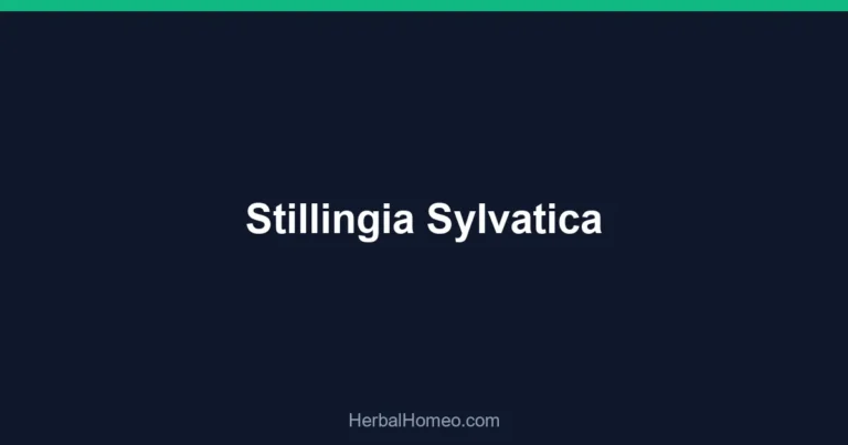 Stillingia Sylvatica
