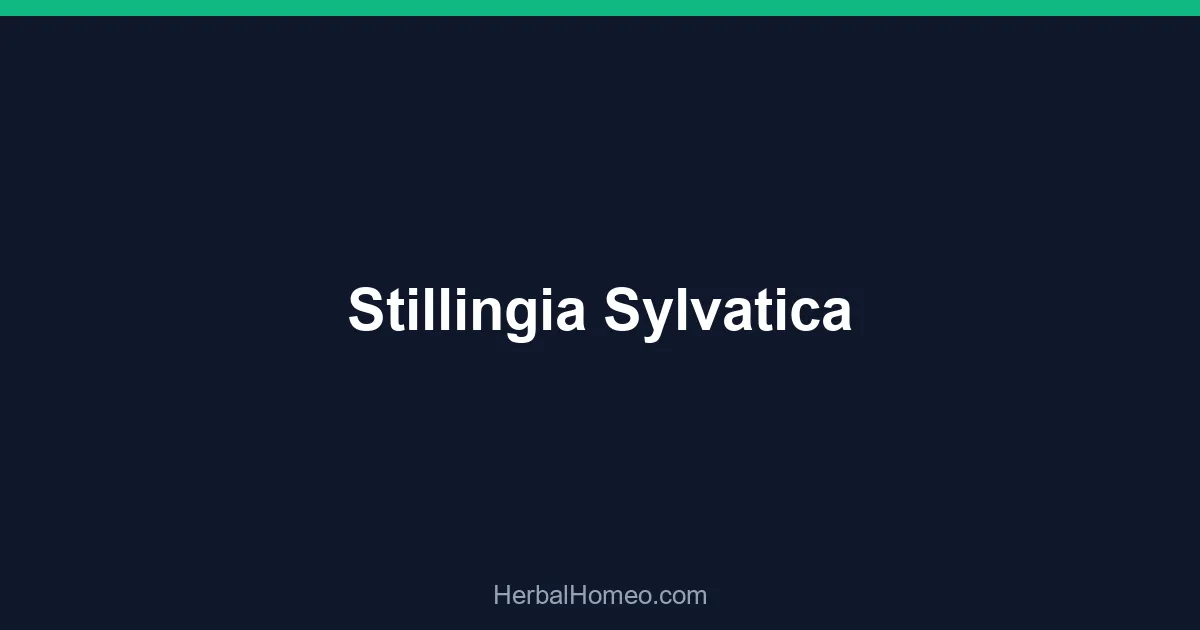 Stillingia Sylvatica