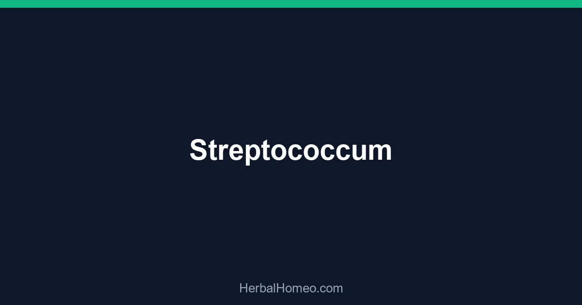 Streptococcum