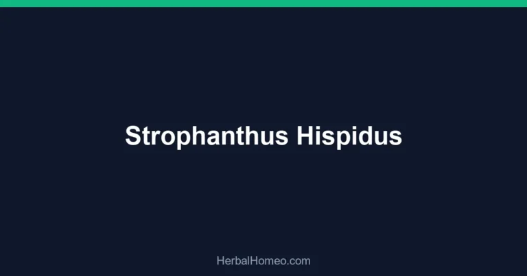 Strophanthus Hispidus