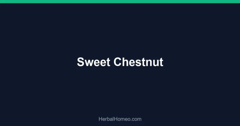 Sweet Chestnut