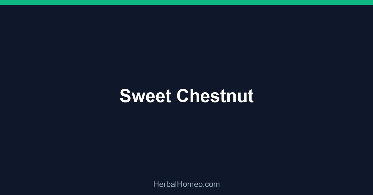 Sweet Chestnut