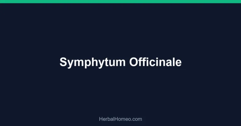 Symphytum Officinale