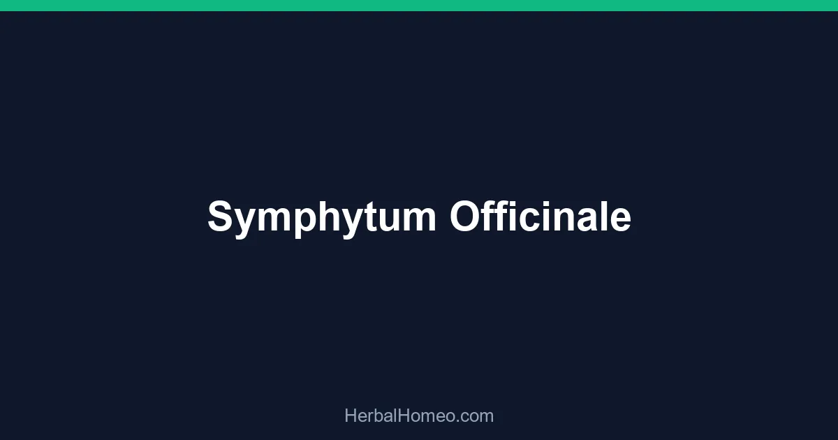 Symphytum Officinale