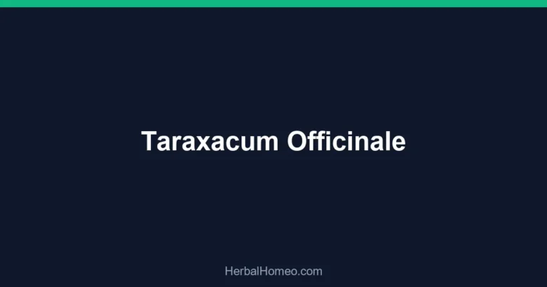 Taraxacum Officinale