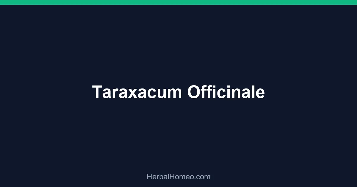 Taraxacum Officinale