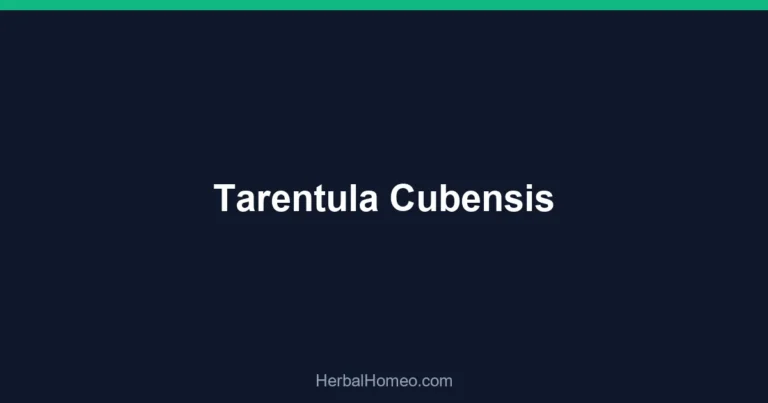 Tarentula Cubensis