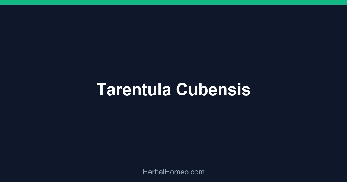 Tarentula Cubensis