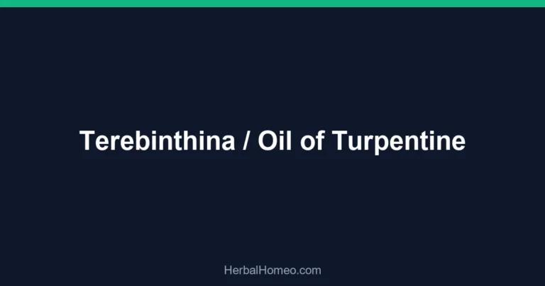 Terebinthina / Oil of Turpentine