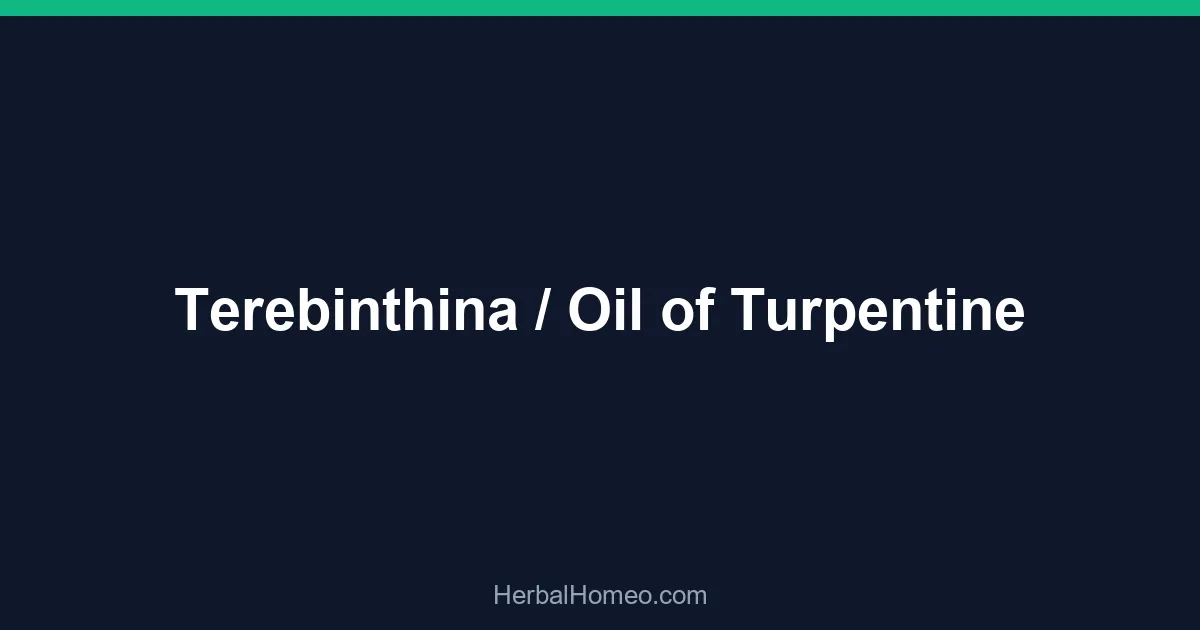 Terebinthina / Oil of Turpentine