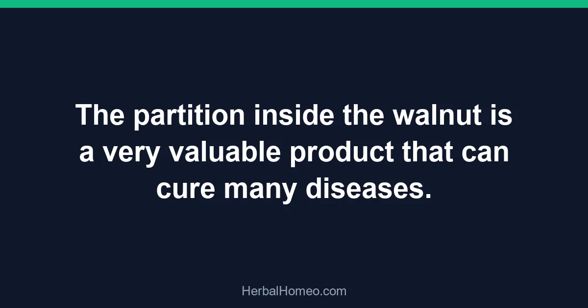The partition inside the walnut is a very valuable product that can cure many diseases.