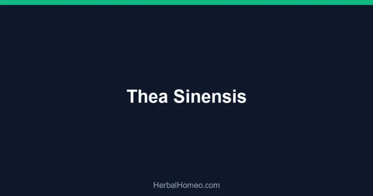 Thea Sinensis