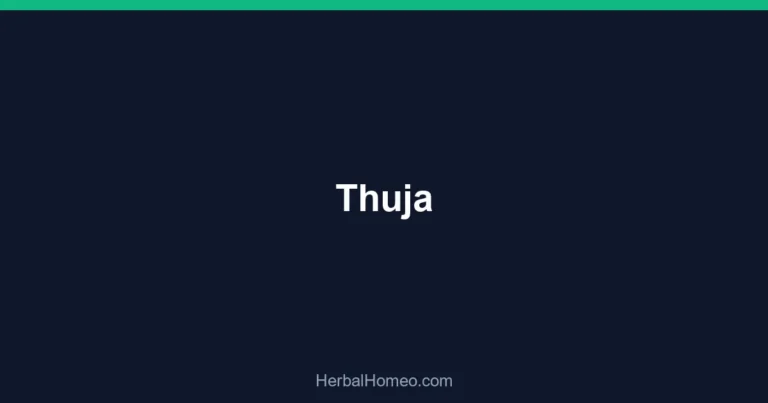Thuja