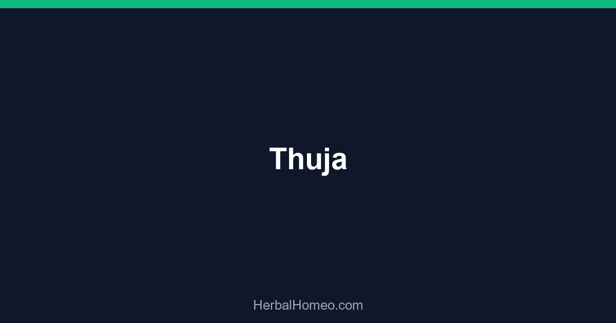 Thuja