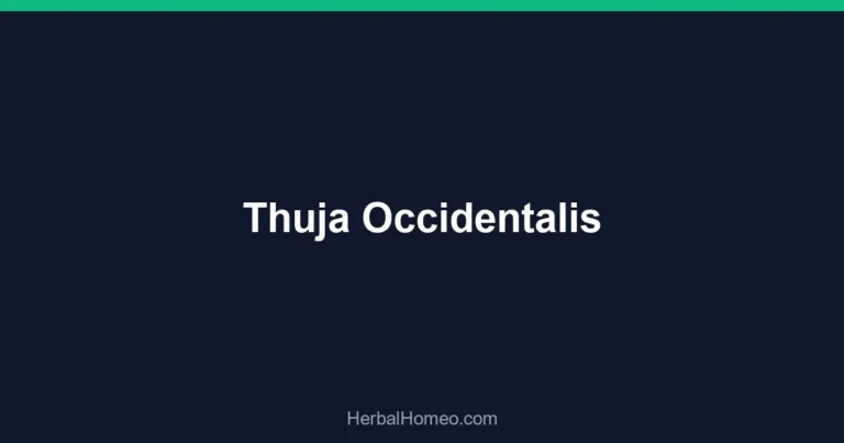 Thuja Occidentalis
