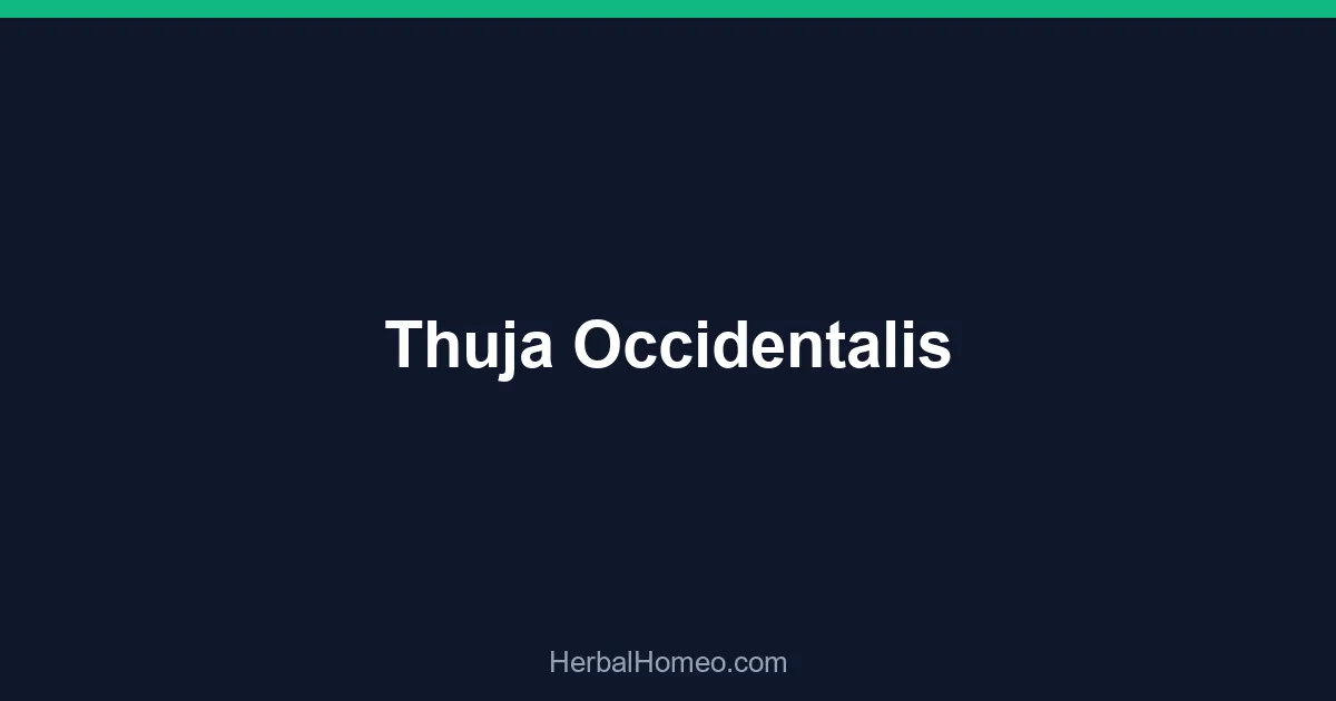 Thuja Occidentalis