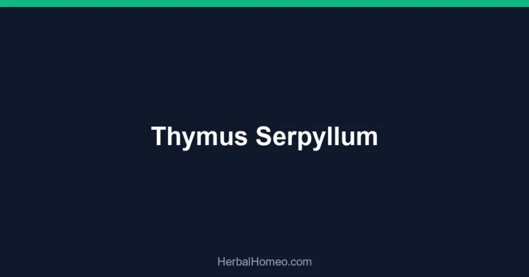 Thymus Serpyllum
