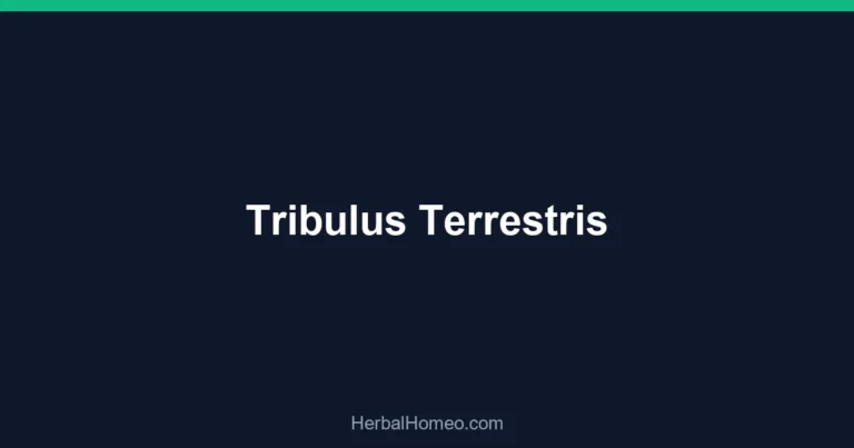 Tribulus Terrestris