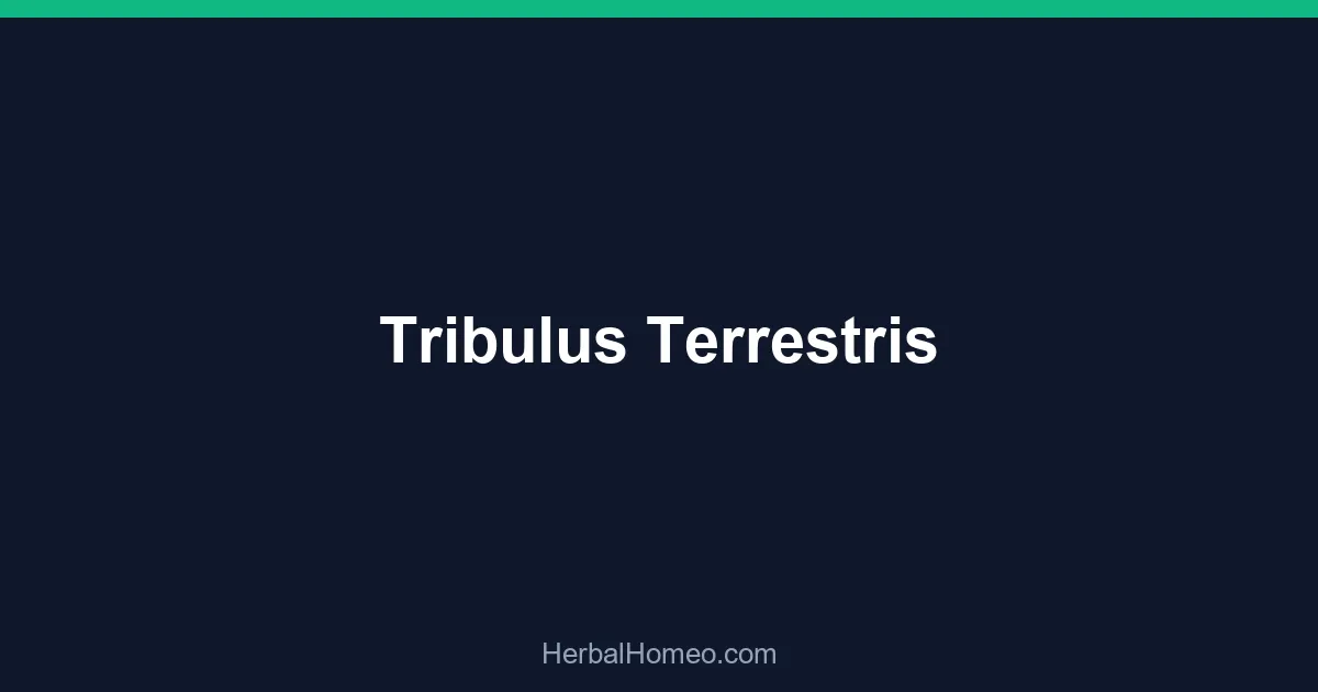 Tribulus Terrestris