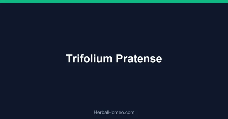 Trifolium Pratense
