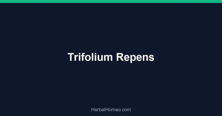 Trifolium Repens