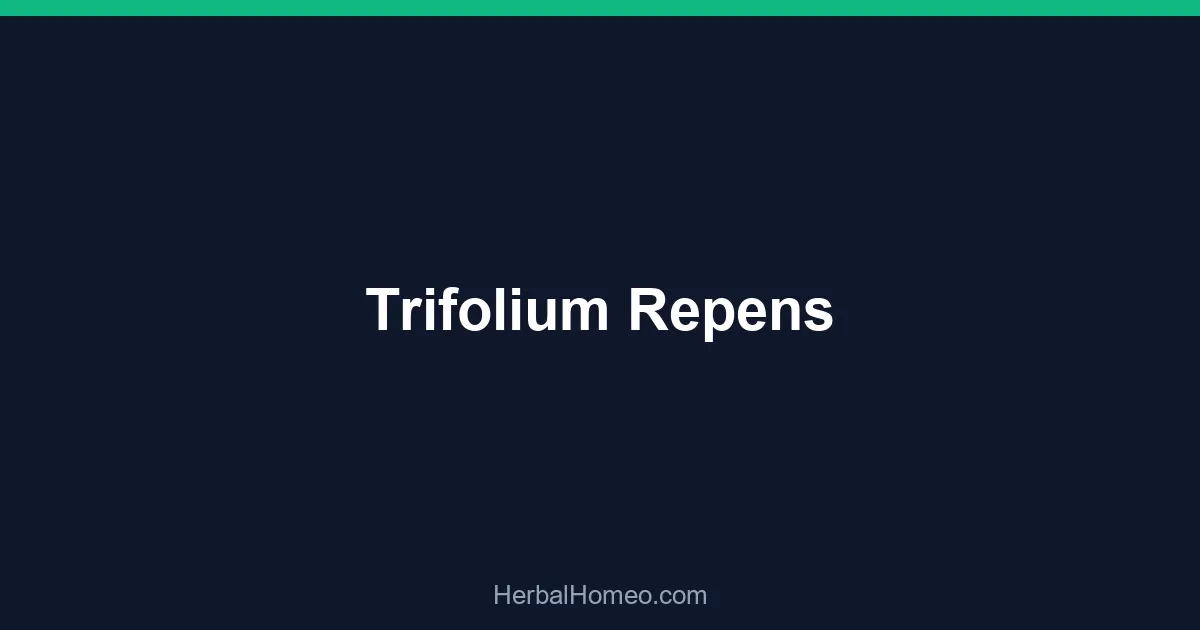 Trifolium Repens