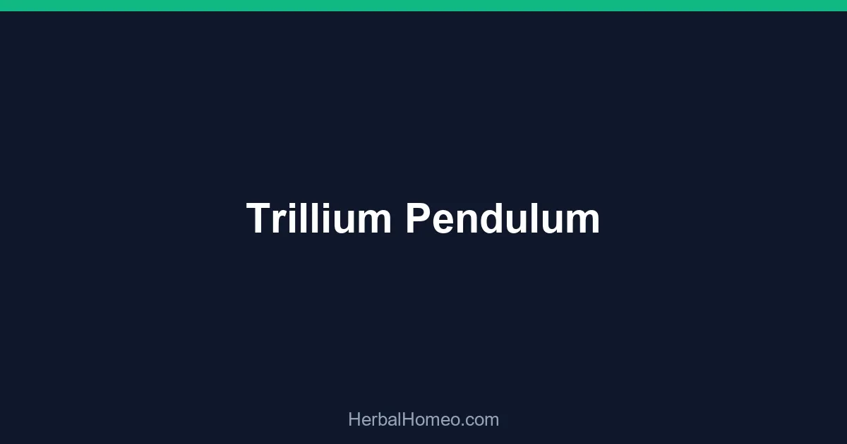 Trillium Pendulum