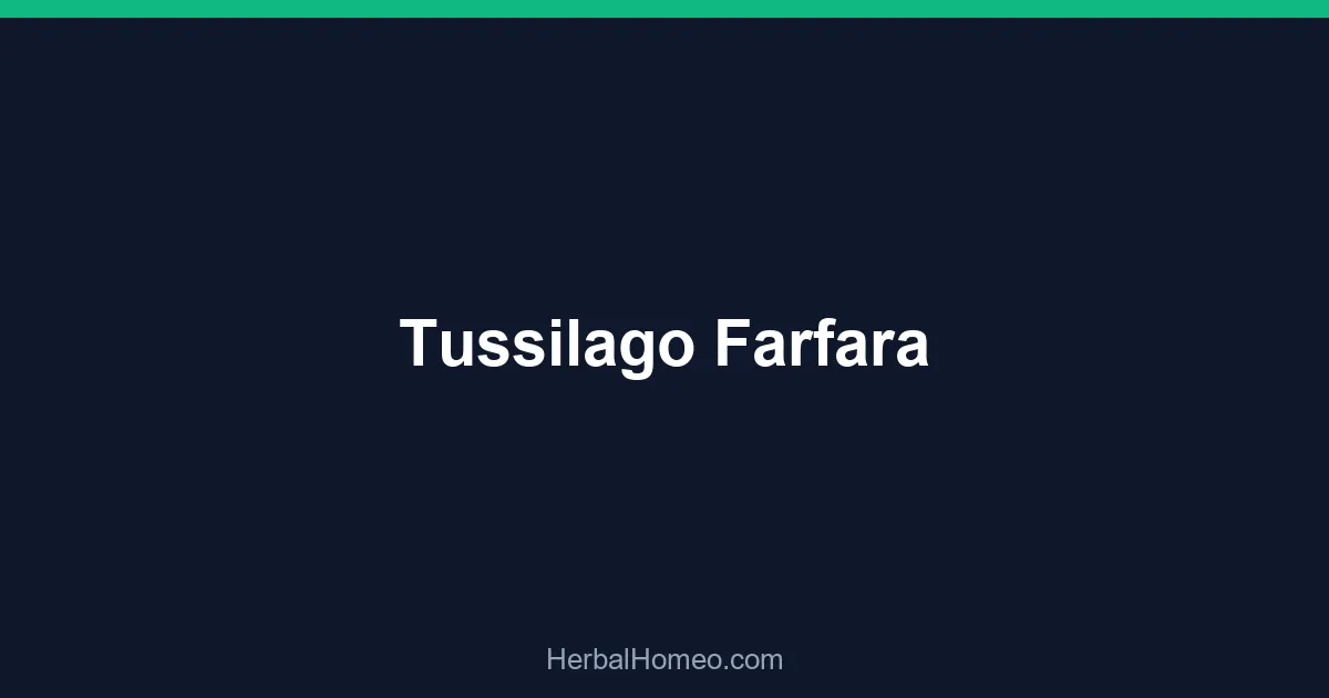 Tussilago Farfara