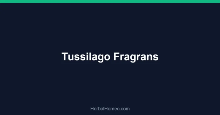 Tussilago Fragrans