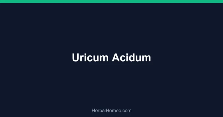 Uricum Acidum