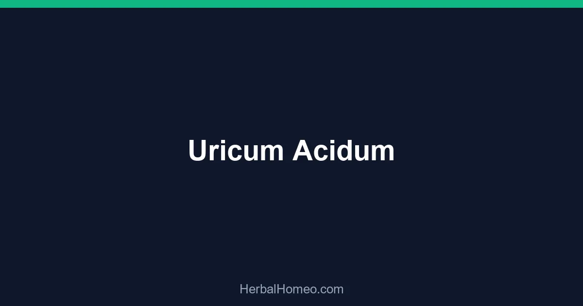 Uricum Acidum