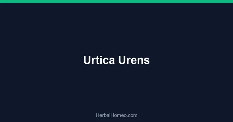 Urtica Urens